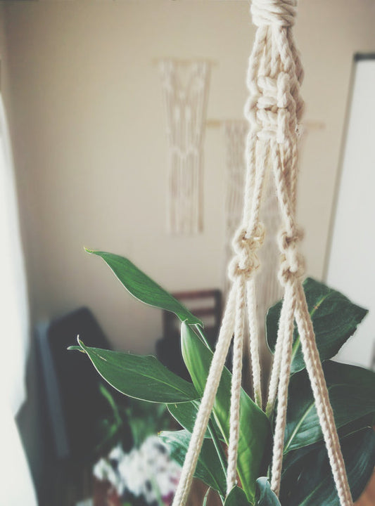 Macrame Plant Hanger, Hanging Planter, Modern
