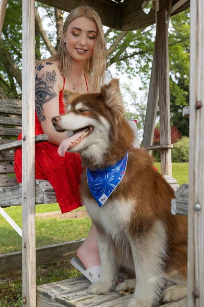 Halter Open Back Dress