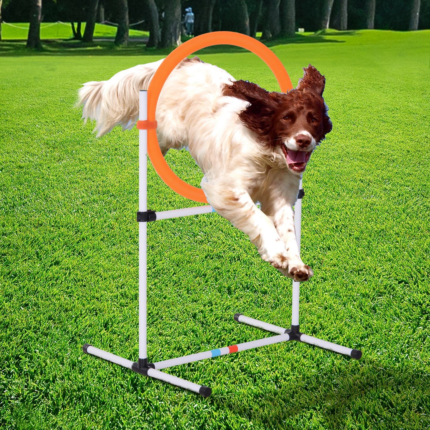 PawHut Outdoor 2-in-1 Dog Obstacle Training Agility Equipment Tire