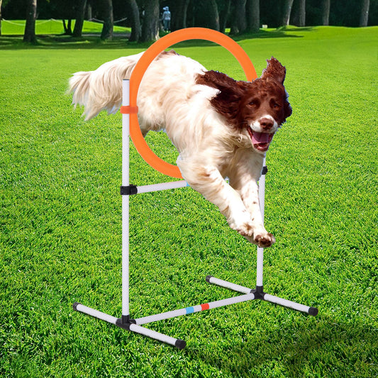 PawHut Outdoor 2-in-1 Dog Obstacle Training Agility Equipment Tire