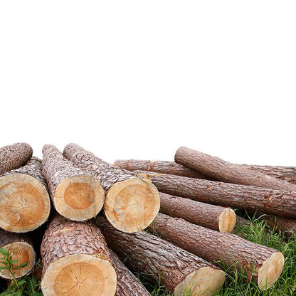 Levede Clothes Stand Garment Dyring Rack Hanger Organiser Wooden Rail