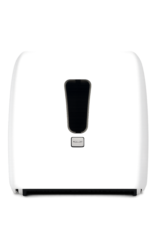 Wall-Mounted Paper Towel Dispenser with Viewing Window