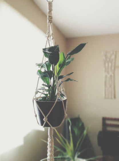 Macrame Plant Hanger, Hanging Planter,  Modern